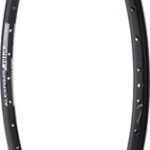 Alex DH19 Rim - 26", Disc, Black, 36H, Clincher