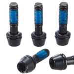 Ritchey WCS Replacement Stem Bolts: C260 Stem