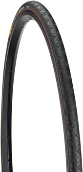 Continental Grand Prix 4-Season Tire - 700 x 25, Clincher, Folding, Black, Vectran Breaker, DuraSkin