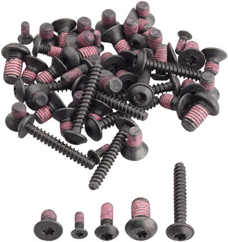 Bosch Screw Kit for ABS (BAS33YY)