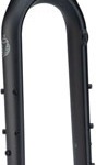 Salsa Firestarter 110 Deluxe Carbon Fork, 15x110mm Thru-Axle, Matte Black