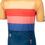 Salsa Team Polytone Men’s Jersey – Goldenrod, Dark Blue, w/ Stripes, Large