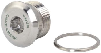 Cane Creek eeWings Crank Arm Fixing Bolt and Washer - 8mm, For eeWings 8-Bolt Type Crank