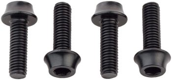 Wolf Tooth Water Bottle Cage Bolts - Set/4, Aluminum, Black
