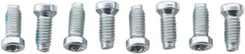 SRAM Crank Bolt Kit - Removable Spider Mounting, Torx T20, Qty 8